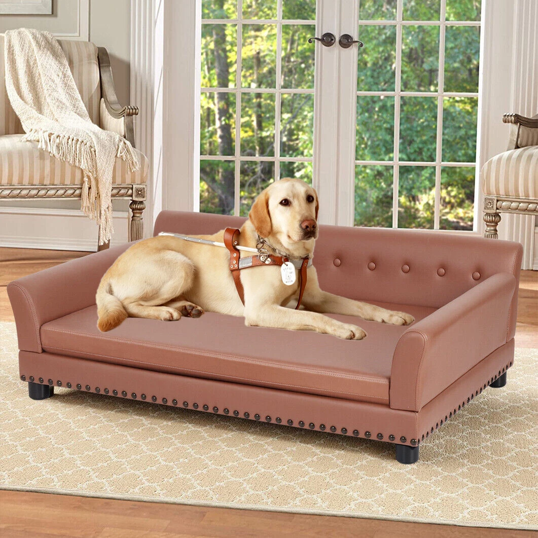 Couch like dog clearance beds