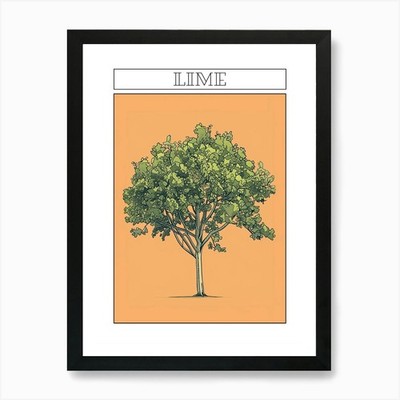 Lime Tree Minimalistic Drawing 2 Po Framed Wall Art Poster Canvas Print Picture