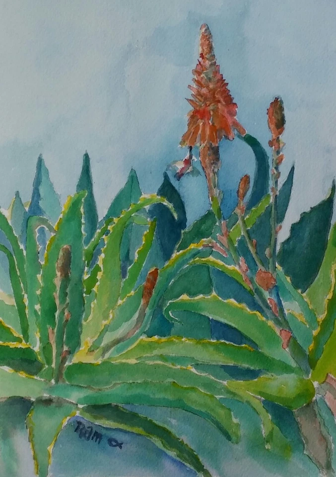 "Кормушка для алоэ" оригинальная акварельная картина ~ RAMfish художник колибри - Изображение 2 из 4