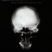 The Mind Is a Terrible Thing to Taste von Ministry | CD | Zustand sehr gut