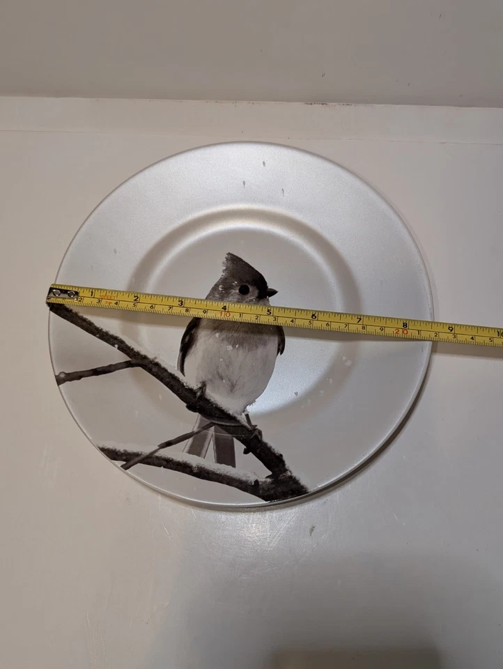 PIER 1 Importaciones Plato Decorativo Plato Pájaro Mechón Titmouse Nieve 8.5" Porcelana Foto 3 de 4