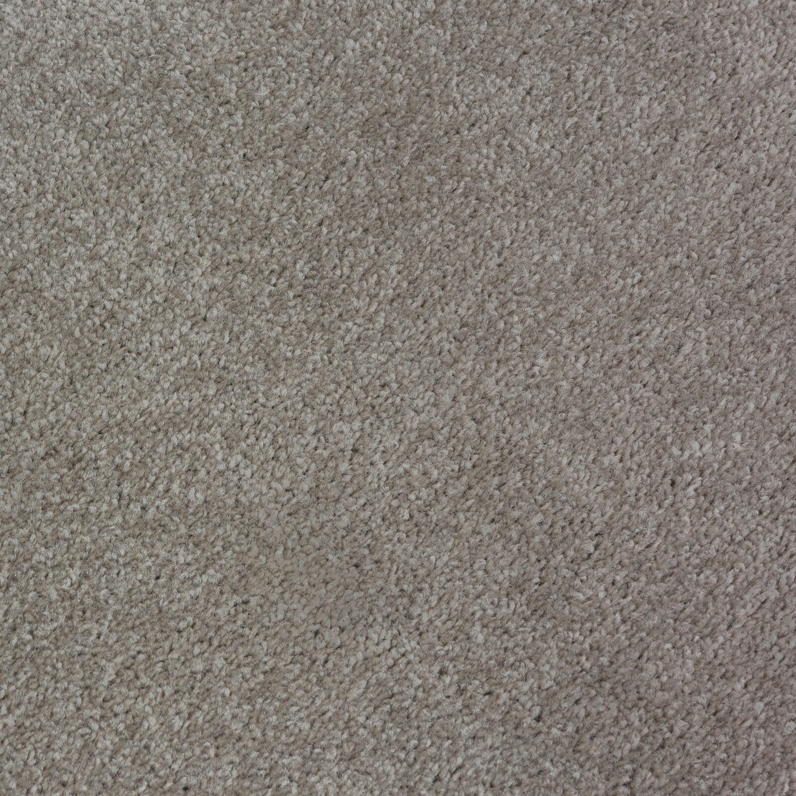 CUT PRICE Grey Silver Black Twist Felt Back Carpet £9.99m² Cheap