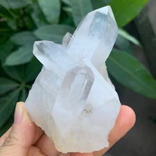 254g   Natural Clear White Quartz Crystal Cluster Rough Healing Specimen
