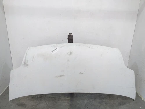 9121273 Capo para OPEL MOVANO FURGÓN/COMBI 2007 8691896 - Imagen 1 de 10
