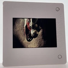 35mm Slide What Waits Below 80s Horror Movie Vintage Publicity Promotion #8