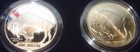 2001  American Buffalo Silver Dollar Set - 2 Coins - UNC & Proof w/OGP & COA — photo 4