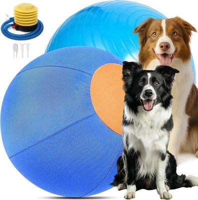 Herding Ball for Dogs, 25-Inch Fun Play Toy for Large & X-Large Breeds, Heavy-Du