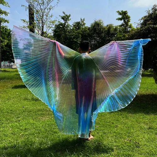 Transparent Belly Dance Wings Stage Performance Dancing Props - Picture 38 of 42