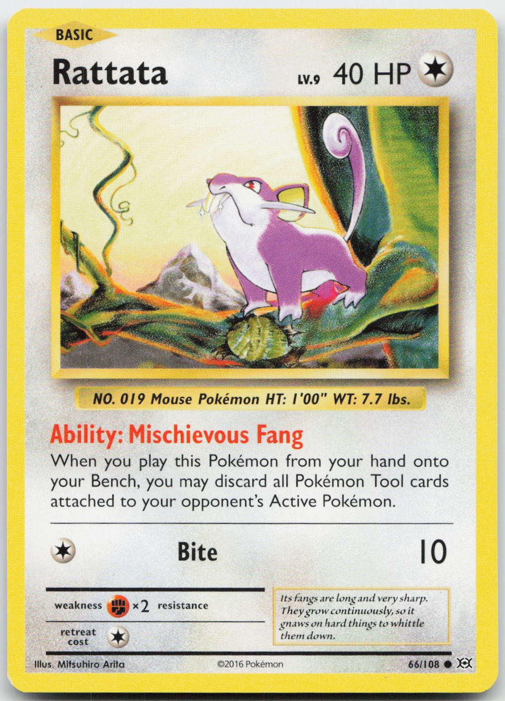 Rattata 66/108 Common Evolutions Pokemon Lightly Played