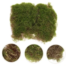 Artificial Grass Rug Micro Landscape Decoration Mini Garden Fake Moss