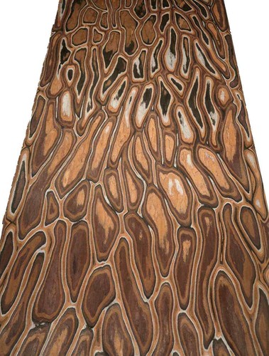 Anaconda Furnier SaRaiFo Maser Designfurnier 250x31cm - Bild 6 von 12