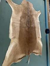 South African Impala Tanned Hide