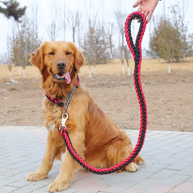 Rope chain dog collar sale