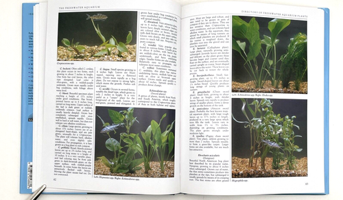 The Aquarium Fish Survival Manual by Brian Ward 1985 Very Clean - Picture 6 of 11