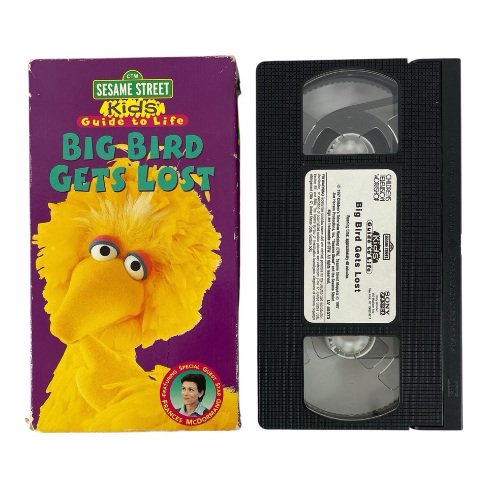 Sesame Street Big Bird Gets Lost Kids Guide To Life