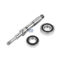 Reparatursatz Wasserpumpe DT Spare Parts Iam-Expertise Passend FüR U.A. Scania 3