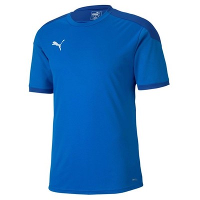 PUMA Men's Teamfinal 21 Training Jersey T-shirt L Electric Blue Lemonade-team Po