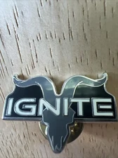 Ignite International Brand Pinback