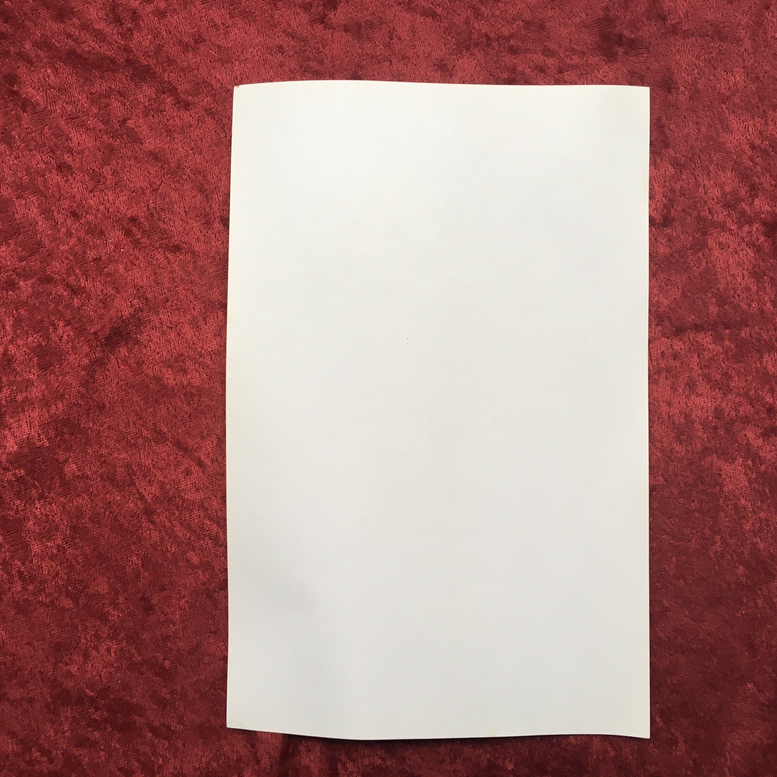 Foto 2 di 2