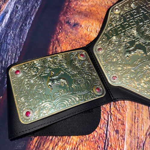 2012 Mattel WWE World Heavyweight Championship Belt Replica Kids Toy Play READ - Picture 2 of 10