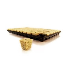 Cubi Lana di Roccia 3,5x3,5cm Cultilene Vassoio 77 pz per germinazione semi