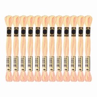 12 SträNge Stickgarn, Polyester-StickfäDen Weiß Orange FüR Marke