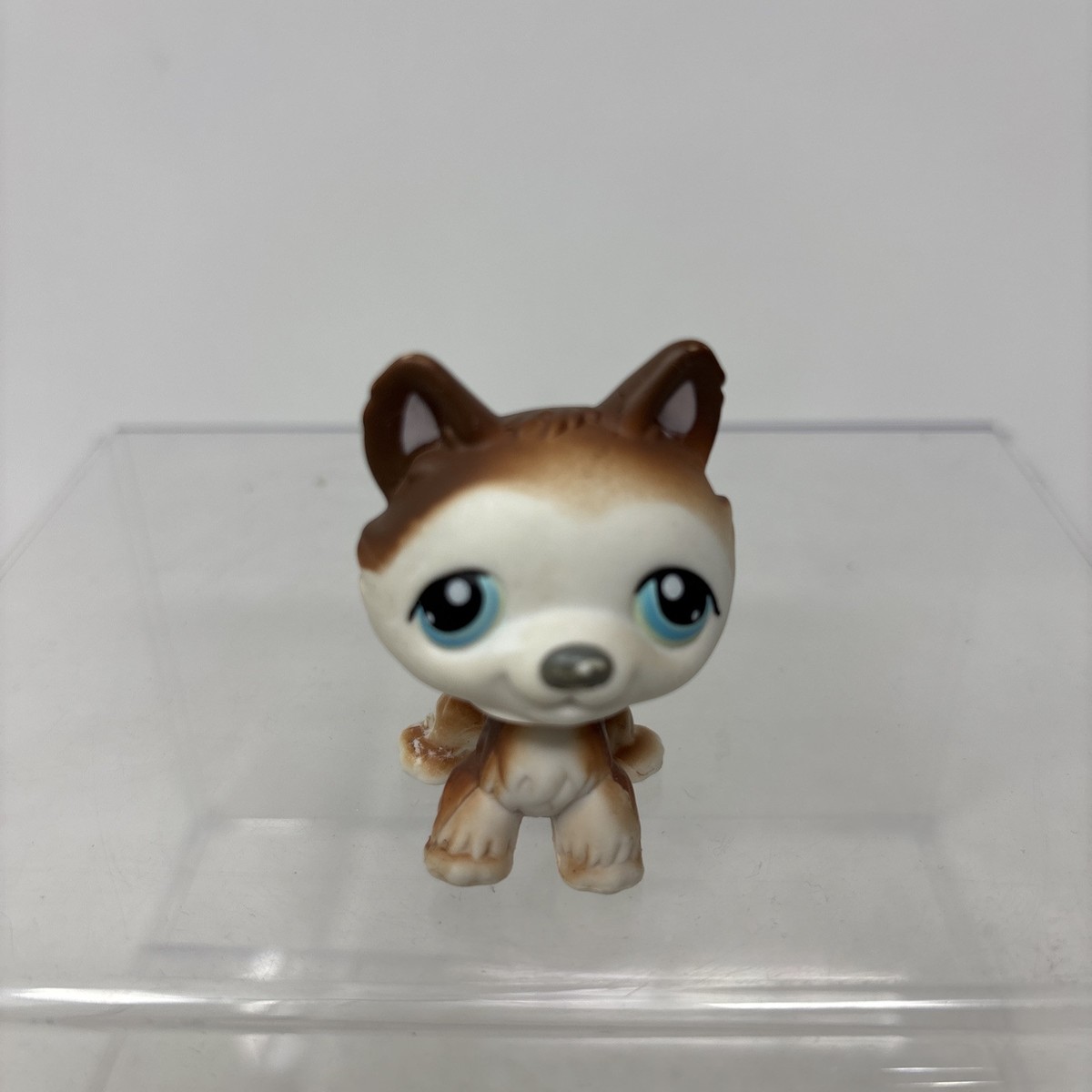 Figurine Little Petshop LPS #68 - Chien Husky - Collection Hasbro - Occasion