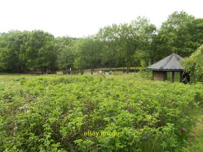 Foto 6x4 Patchings Art Centre Calverton Monet Pool c2018