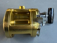 Penn International 12 With Gold Accurate Frame