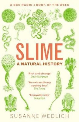 Susanne Wedlich Slime (Taschenbuch)