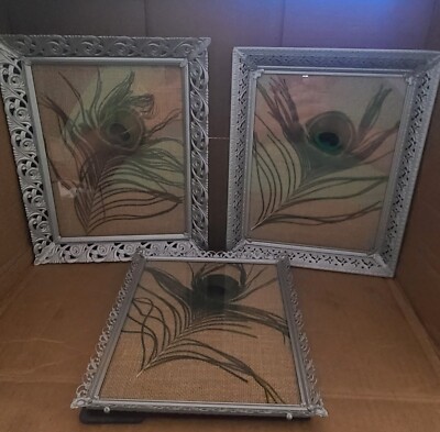 3 vintage framed peacock feather art