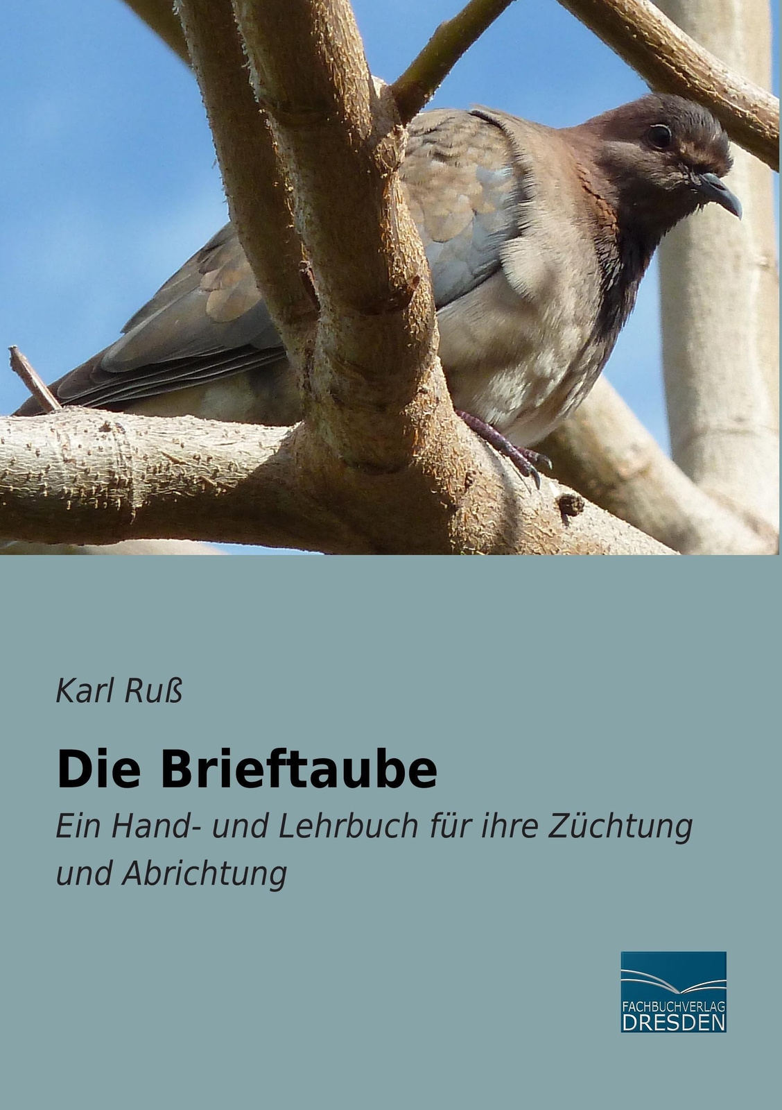 Thumbnail - Karl Ruß | Die Brieftaube | Taschenbuch | Deutsch (2015) | Paperback |