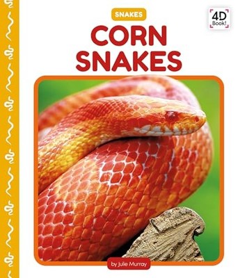 Corn Snakes by Julie Murray (2025, Library Binding)
