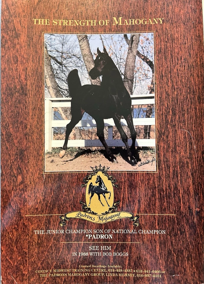 Arabian Horse Times Magazine Spanish Issue 💌 January 1988 Vintage - Image 2 of 4