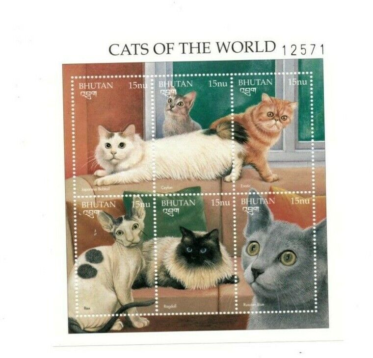 Bhutan 1997 1168 - Cats of Sheet MNH High material 6v World the Department store