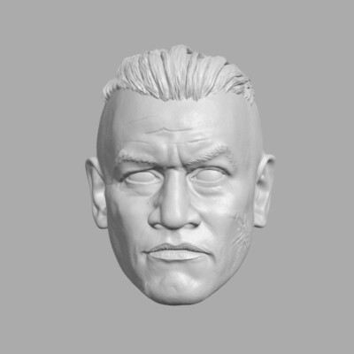Howzer Face Print Captain Howzer CW custom head for Star Wars Black Series & more action ...