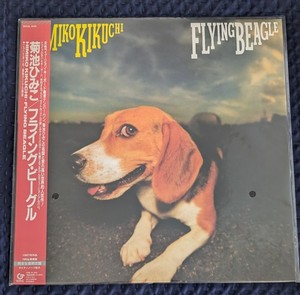 Flying Beagle | eBay