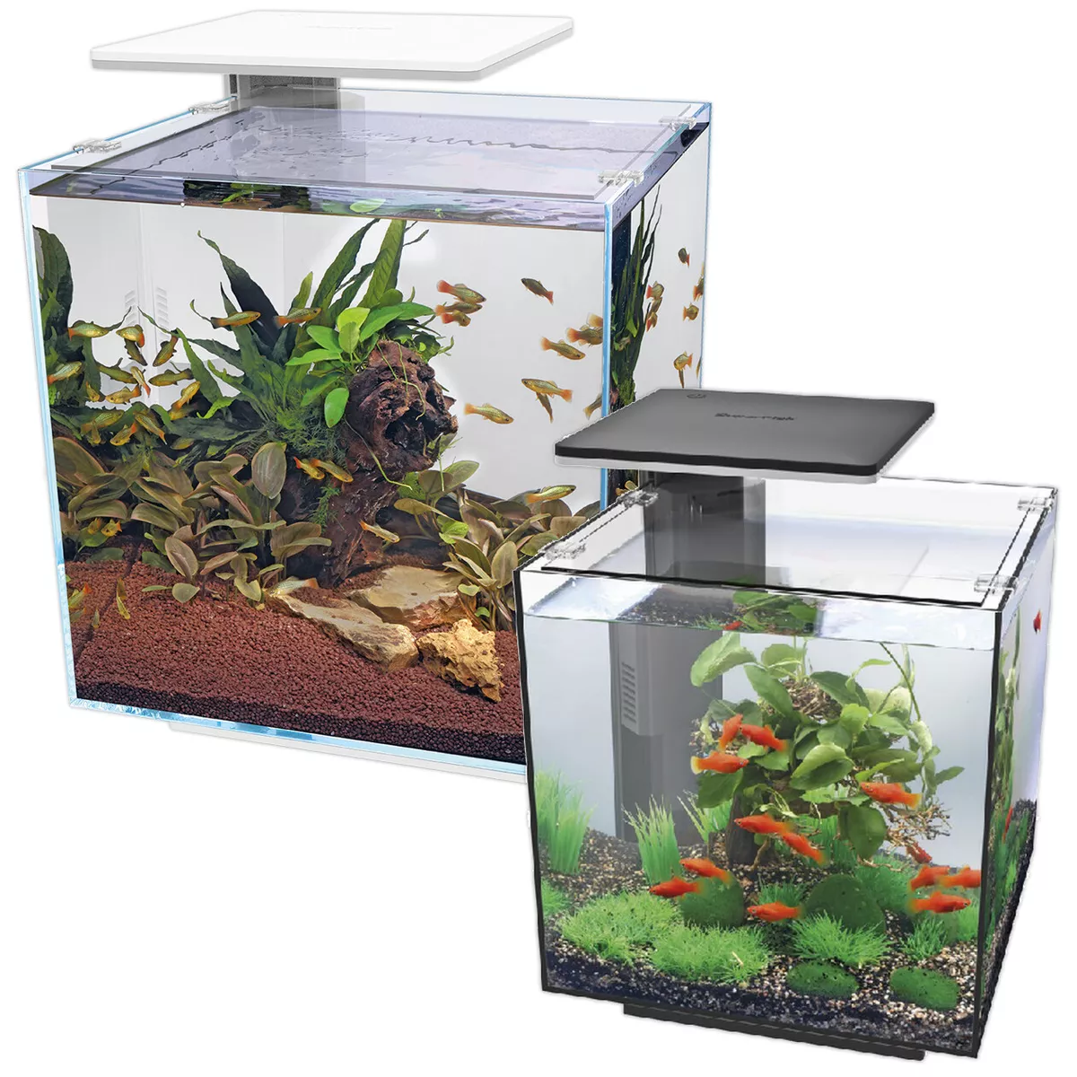 Superfish Qubiq Aquarium Nano Fish Tank Integrated Filter, Optional LED  Light