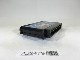 AJ2479 Dragon Slayer IV 4 NES Famicom Japan