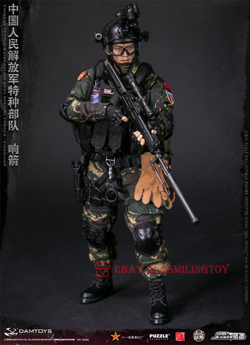DAMTOYS 78048 1/6 Chinese People's Special Forces Sound