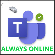 Always Online Green status Moves mouse - simple software no installation 