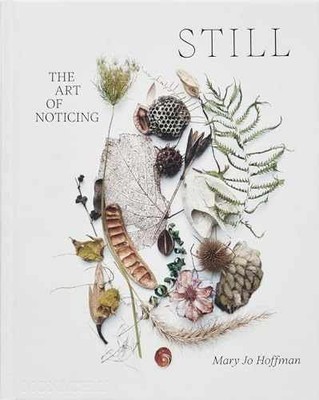 STILL: The Art of Noticing - Hardcover, by Hoffman Mary Jo - Very Good