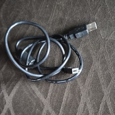 Black High Speed USB Type A Male to Type B Male Cable E330488