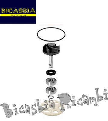 6163-overhaul kit water pump 50 2T LC beta Ark Eikon