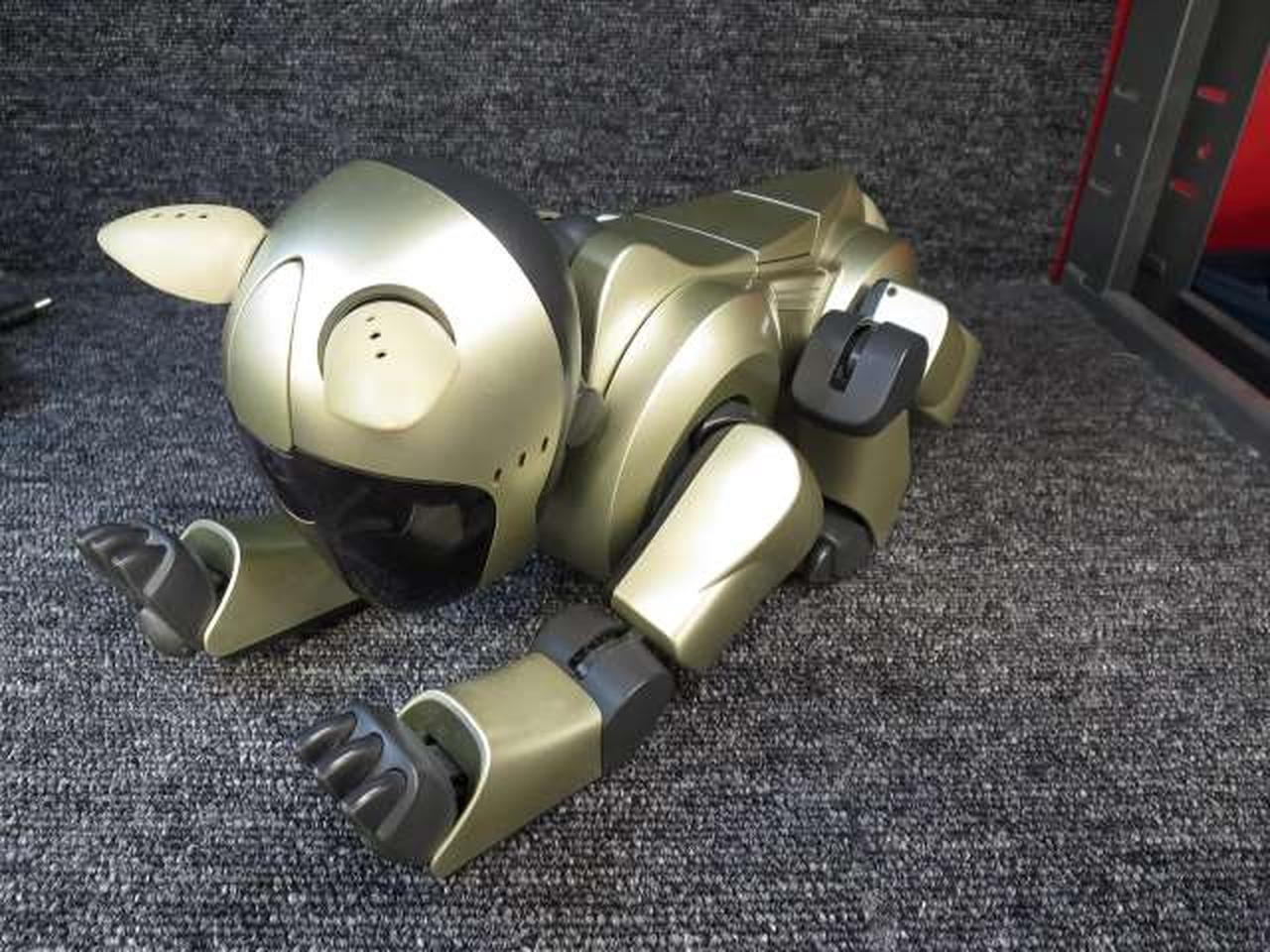 Купить SONY Aibo ERS 210 Gold Peripherals Junk Japan (1970-сейчас