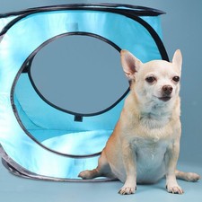 Chat Tunnel Tente Interactive Chat Jouet Portable Pliant Durable Léger Chat