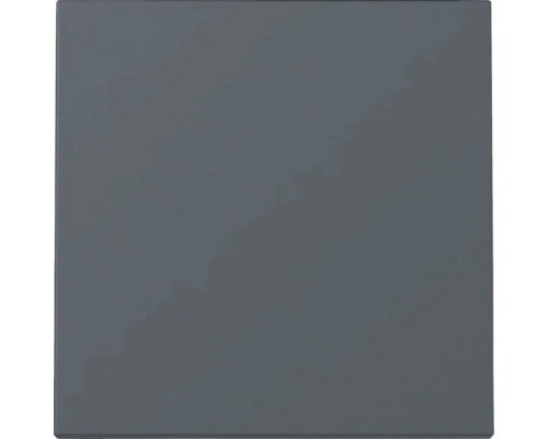 GIRA System 55 E2 Steckdose Schalter / Wippe / Rahmen Anthrazit nach Wahl NEU - Bild 2 von 53