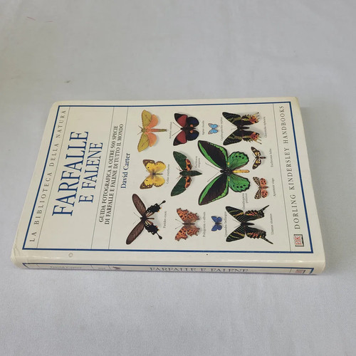 (Gehäuse) Schmetterlinge und Motten Dorling 1