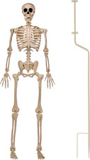 Giant Skeleton Decor with Movable Joints Life Size Halloween Skeleton with Stand