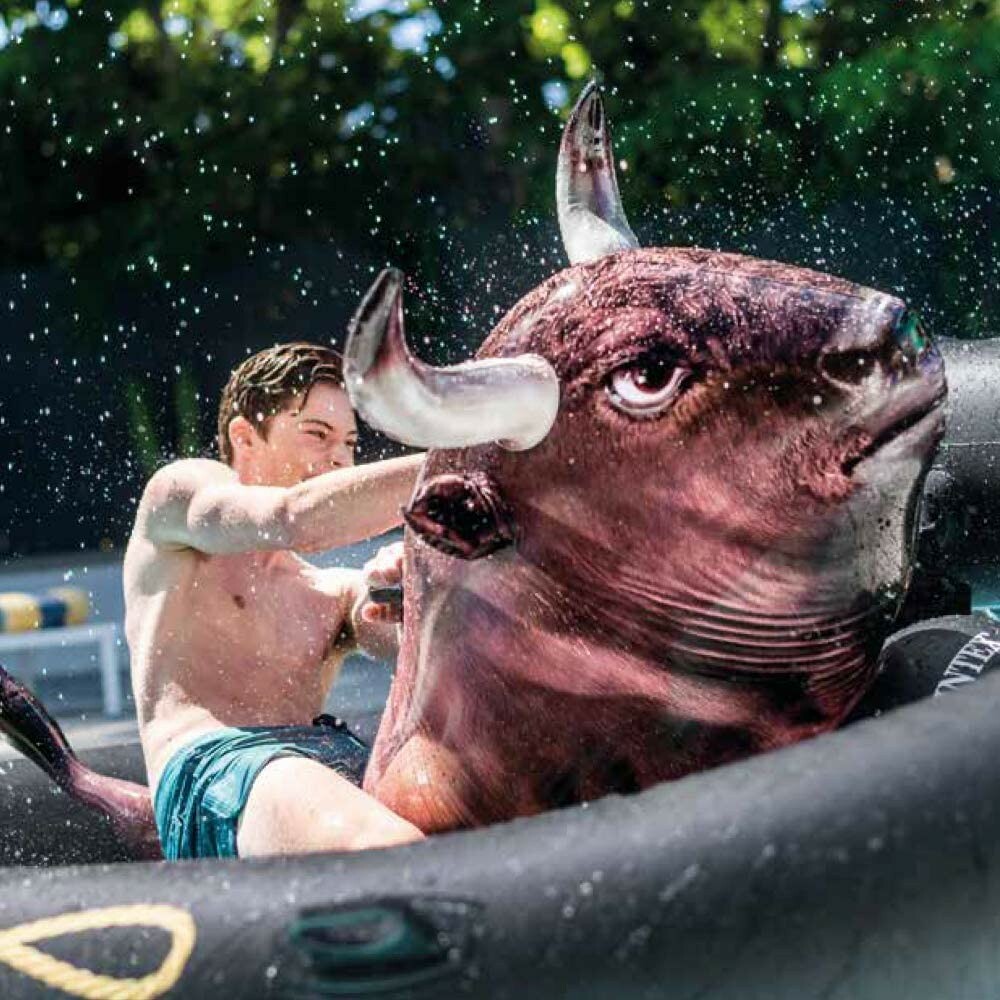 intex inflatabull pool float